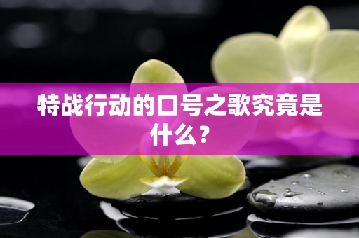 特战行动的口号之歌究竟是什么？