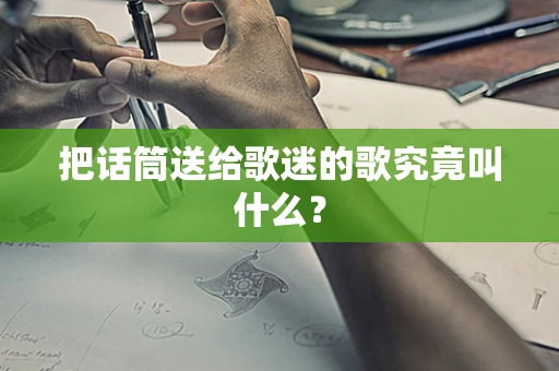 把话筒送给歌迷的歌究竟叫什么？