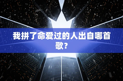 我拼了命爱过的人出自哪首歌？