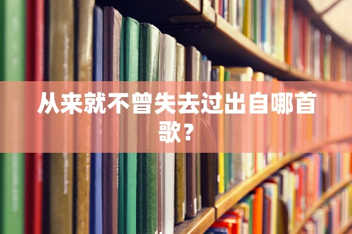 从来就不曾失去过出自哪首歌？
