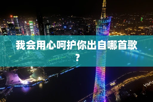 我会用心呵护你出自哪首歌？