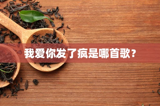 我爱你发了疯是哪首歌？