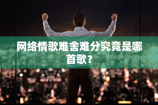 网络情歌难舍难分究竟是哪首歌？