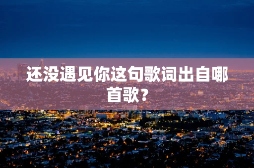 还没遇见你这句歌词出自哪首歌？