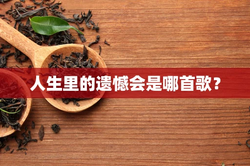 人生里的遗憾会是哪首歌？