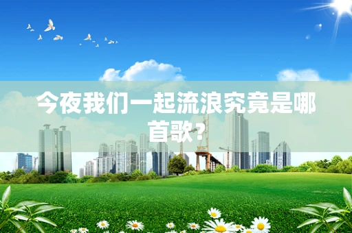 今夜我们一起流浪究竟是哪首歌？