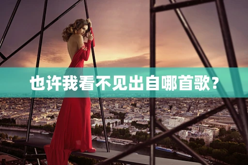 也许我看不见出自哪首歌？