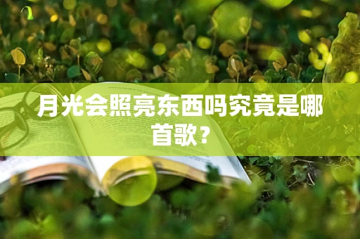 月光会照亮东西吗究竟是哪首歌？