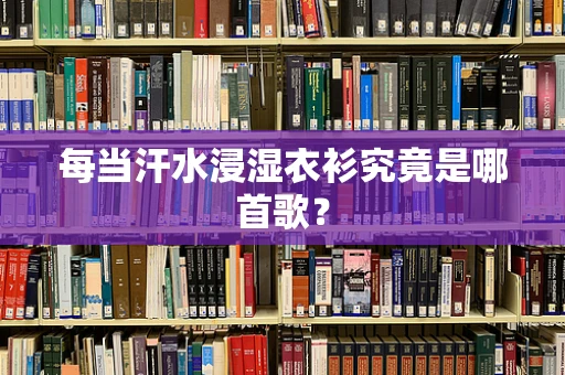 每当汗水浸湿衣衫究竟是哪首歌？