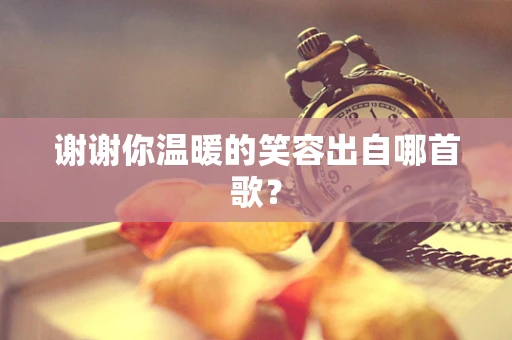 谢谢你温暖的笑容出自哪首歌？