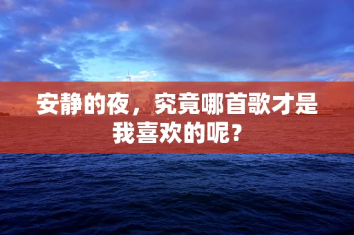 安静的夜，究竟哪首歌才是我喜欢的呢？