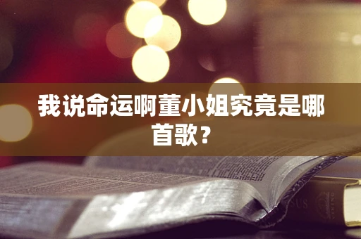 我说命运啊董小姐究竟是哪首歌？