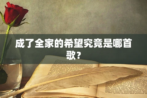 成了全家的希望究竟是哪首歌？