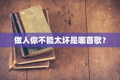 做人你不能太坏是哪首歌？