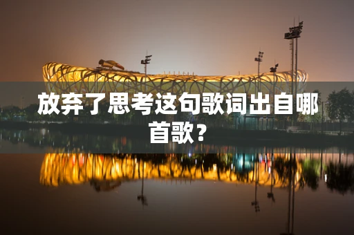 放弃了思考这句歌词出自哪首歌？