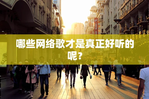 哪些网络歌才是真正好听的呢？