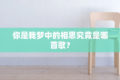 你是我梦中的相思究竟是哪首歌？