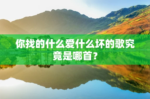 你找的什么爱什么坏的歌究竟是哪首？