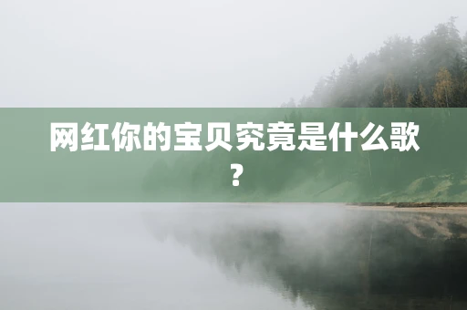 网红你的宝贝究竟是什么歌？