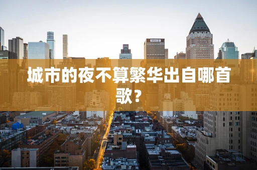 城市的夜不算繁华出自哪首歌？