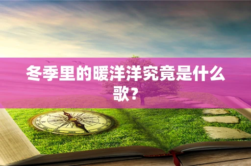 冬季里的暖洋洋究竟是什么歌？