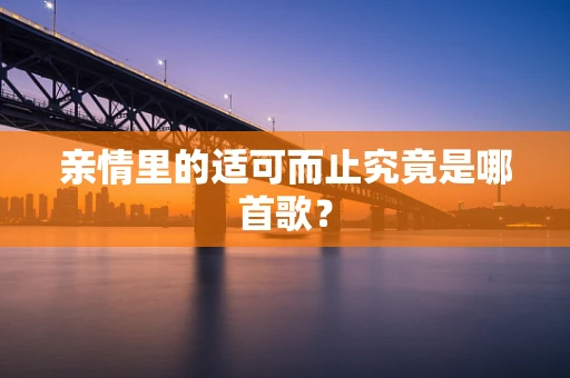 亲情里的适可而止究竟是哪首歌？