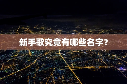 新手歌究竟有哪些名字？