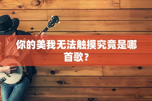 你的美我无法触摸究竟是哪首歌？