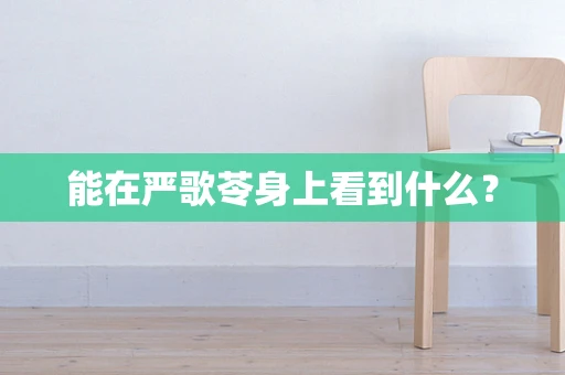 能在严歌苓身上看到什么？