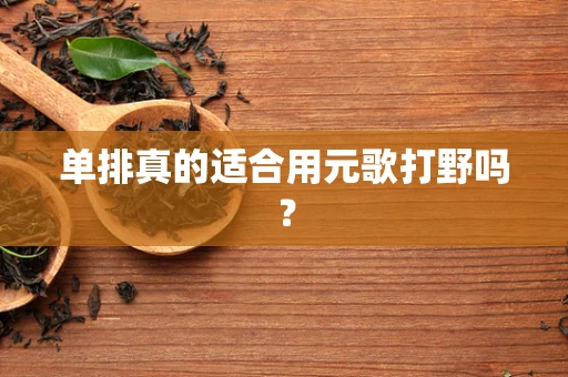 单排真的适合用元歌打野吗？