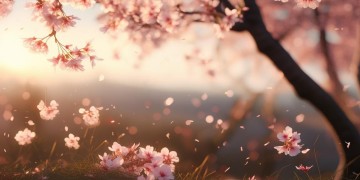 的抒情方式究竟是什么？