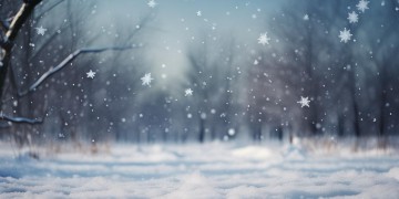 你走过什么飘的雪究竟是哪首歌？