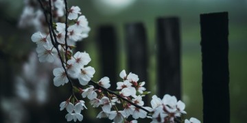 余生还会有人疼吗究竟是哪首歌？