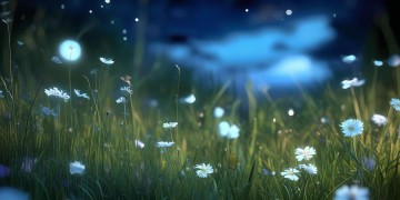有助睡眠的音乐有哪些歌呢？