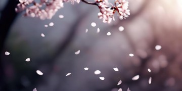 好让人羞愧这句歌词出自哪首歌？