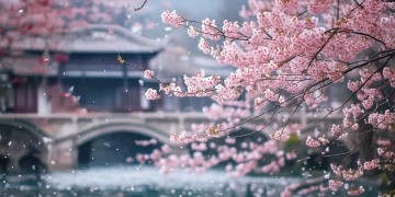中国盛放是怎样一首歌？