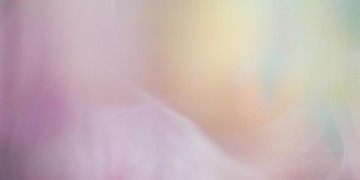 给予我的偏爱是哪首歌？