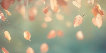 流年难忘旧时光究竟是哪首歌？
