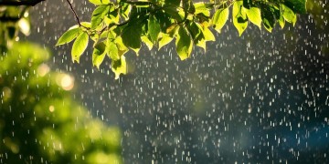 下点小雨就凉快啦究竟是哪首歌？