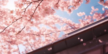 楼顶上的樱桃花究竟是哪首歌？