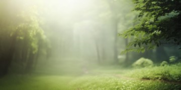 我的爱模糊了双眼究竟是哪首歌？