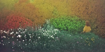花落四季偷偷看你究竟是哪首歌？