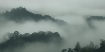 灰色的霾那种色彩出自哪首歌？