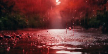 红雨漂泊泛起了出自哪首歌？