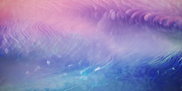 那首叫什么后向的歌究竟是什么？