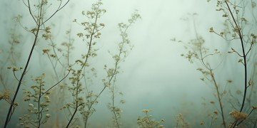 没人前挂没人心疼究竟是哪首歌？