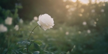 我想哭抱抱你究竟是哪首歌？