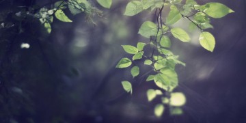 老爱是什么意思？到底是哪首歌里的？