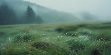 哪首粤语歌有让我什么冷风的歌词呢？