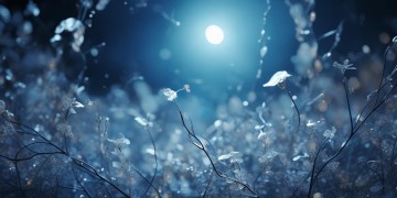日夜思念深深爱着的人究竟是哪首歌？